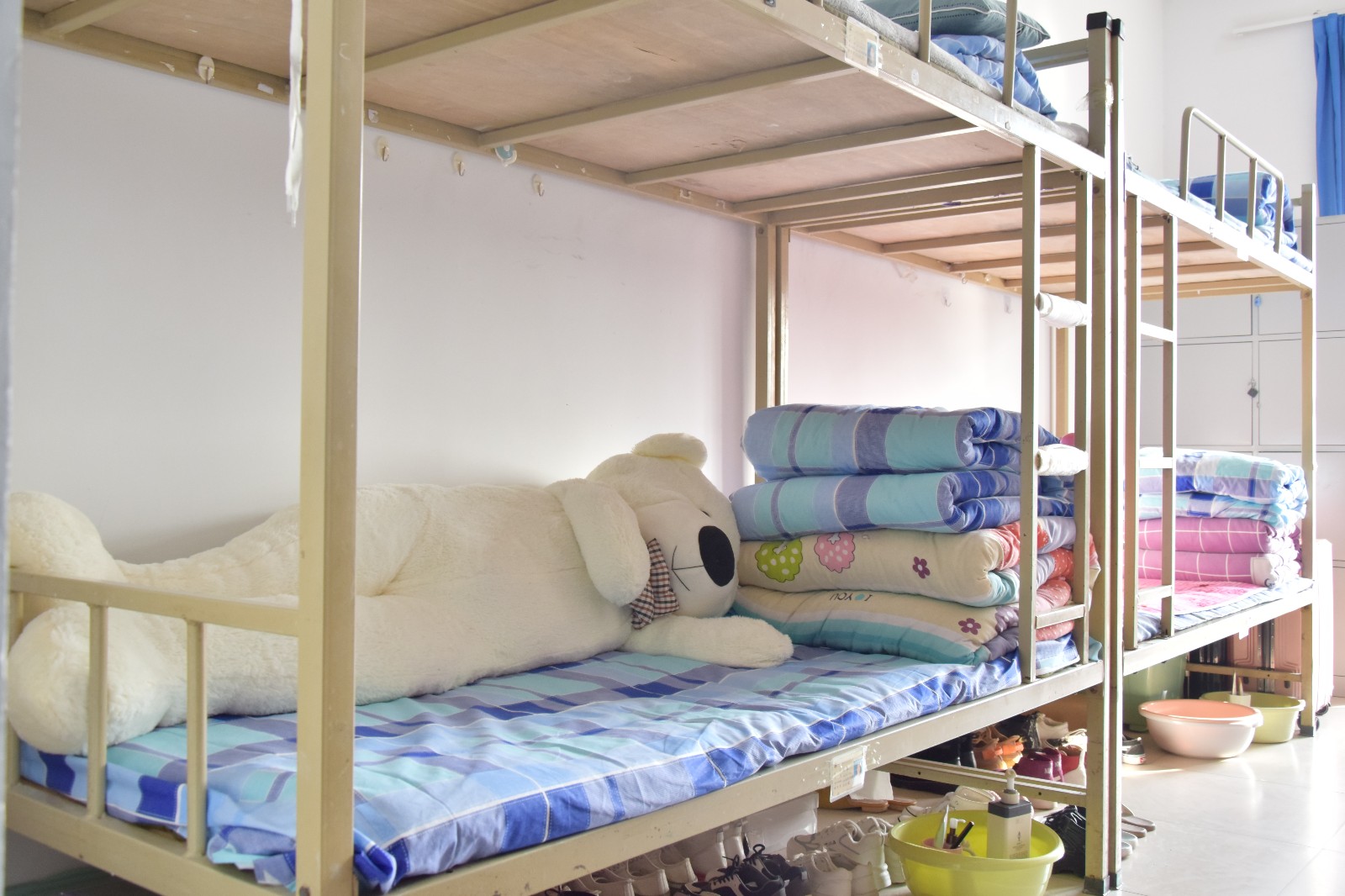 遇见青春寓见精彩